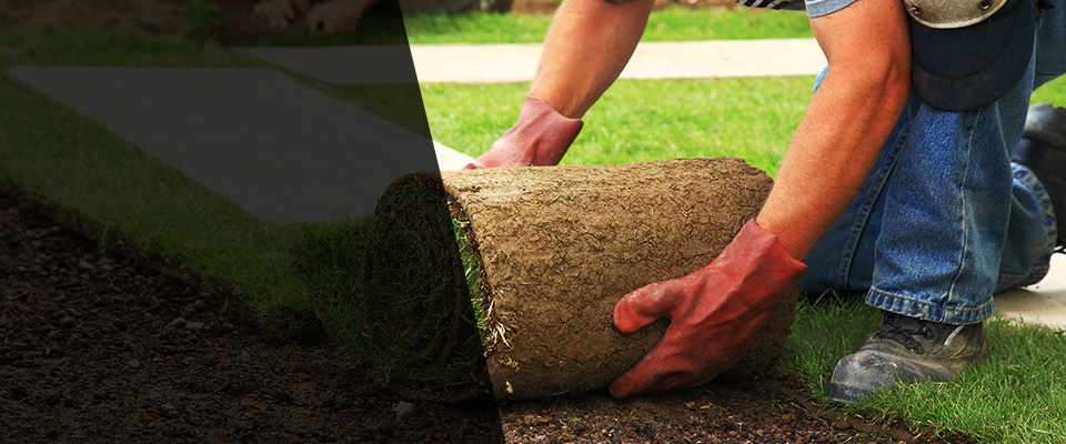 Jay Landscapers